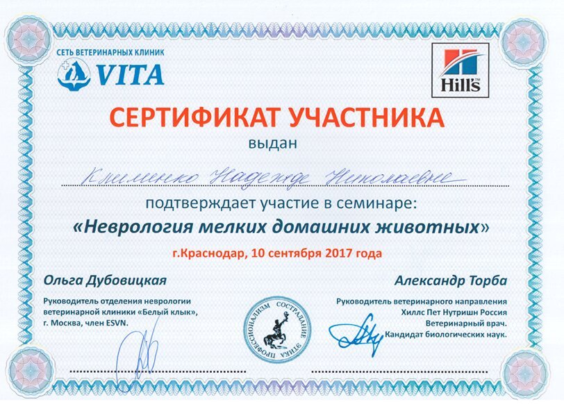 Документ или сертификат