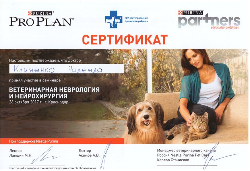Документ или сертификат