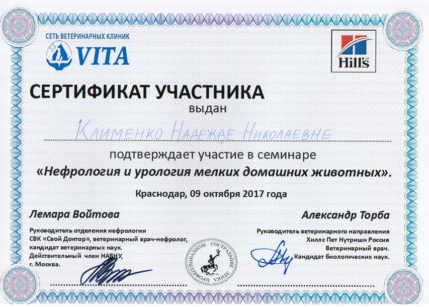 Документ или сертификат