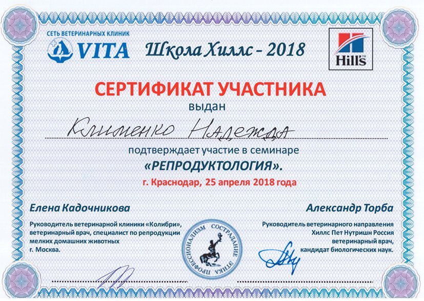 Документ или сертификат