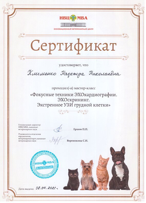Документ или сертификат