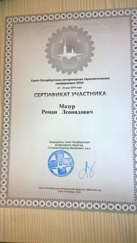 Документ или сертификат