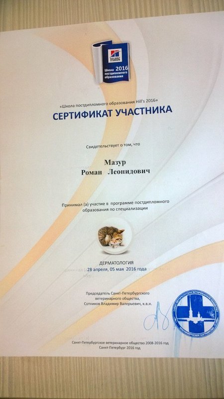 Документ или сертификат