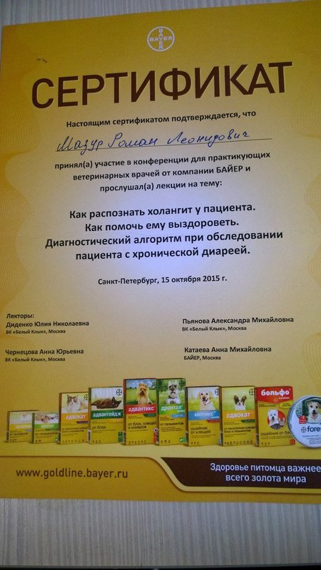Документ или сертификат