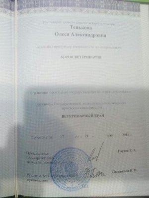 Фото врача Тенькова Олеся Александровна