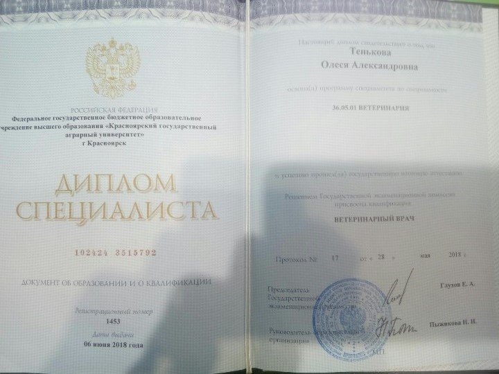 Документ или сертификат