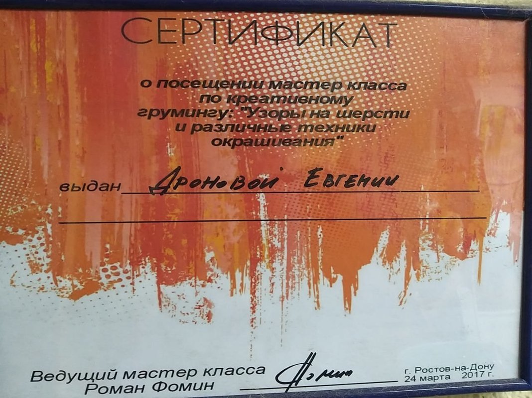 Документ или сертификат