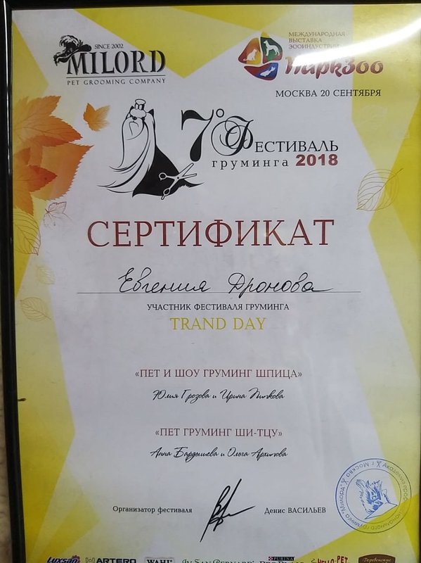 Документ или сертификат