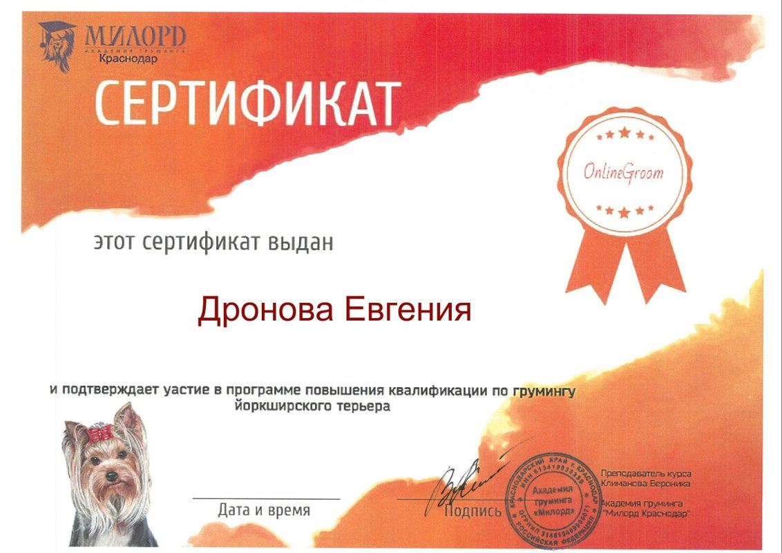 Документ или сертификат