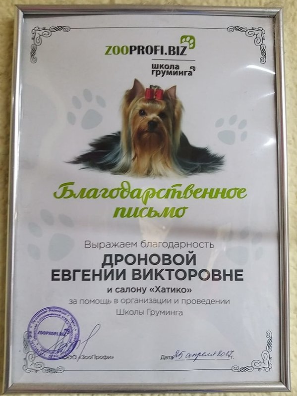 Документ или сертификат