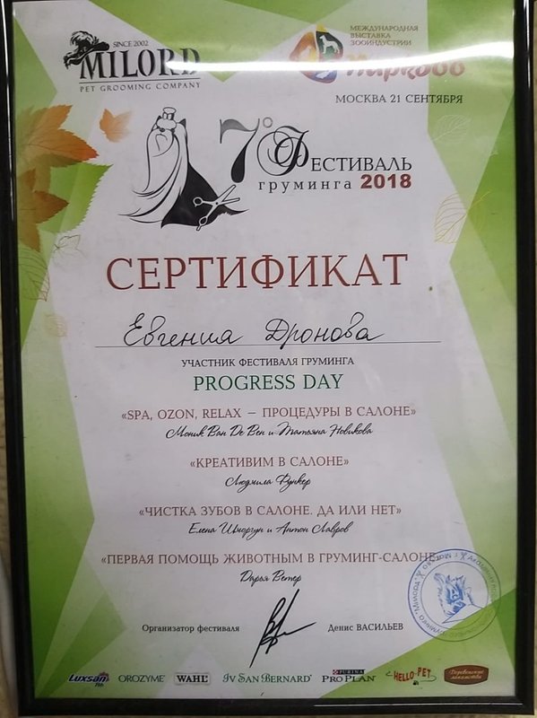 Документ или сертификат