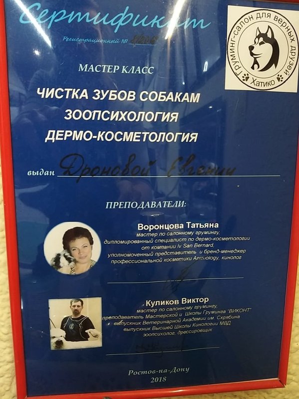 Документ или сертификат