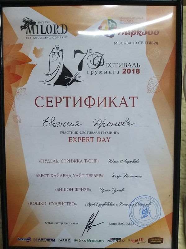Документ или сертификат