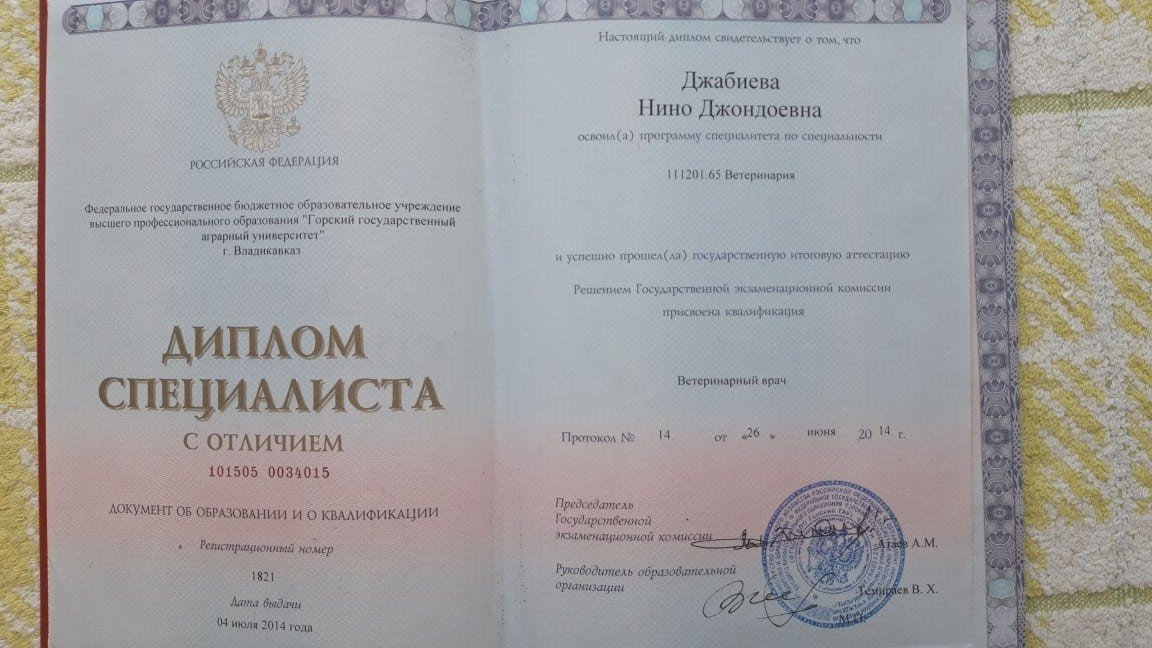 Документ или сертификат