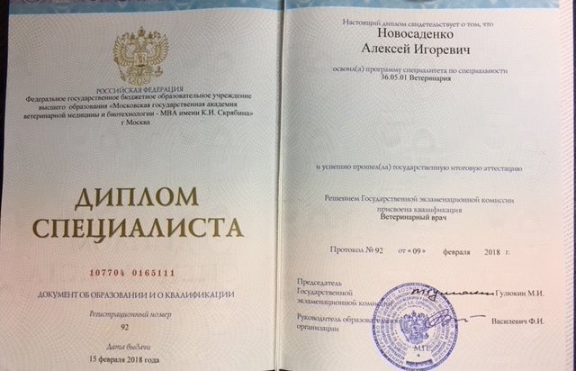 Документ или сертификат