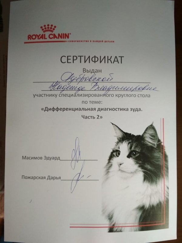 Документ или сертификат