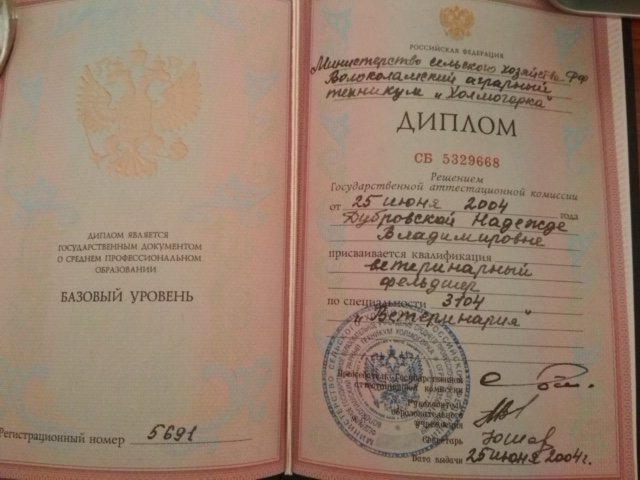Документ или сертификат