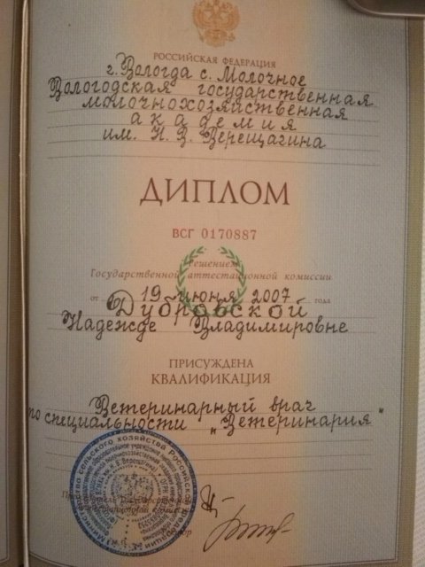 Документ или сертификат