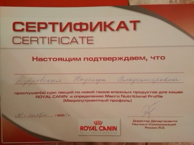 Документ или сертификат