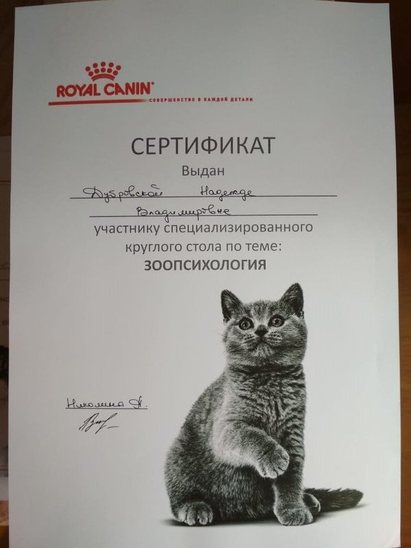 Документ или сертификат