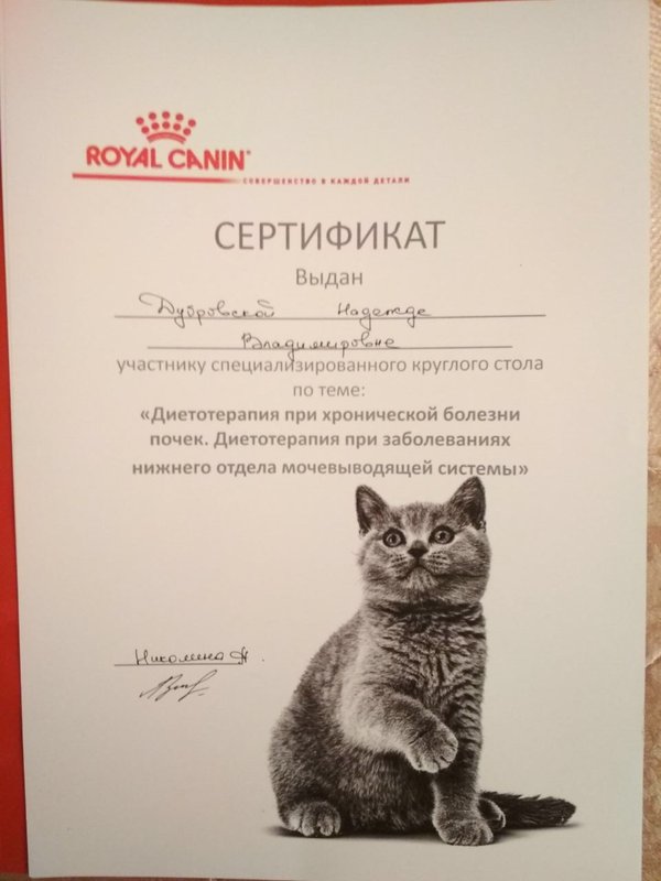Документ или сертификат