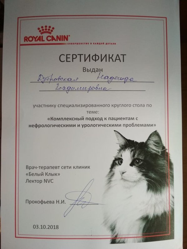 Документ или сертификат