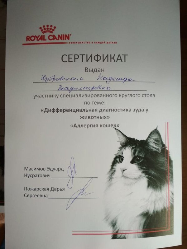Документ или сертификат