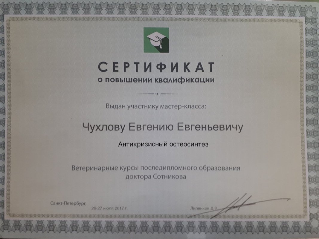 Документ или сертификат