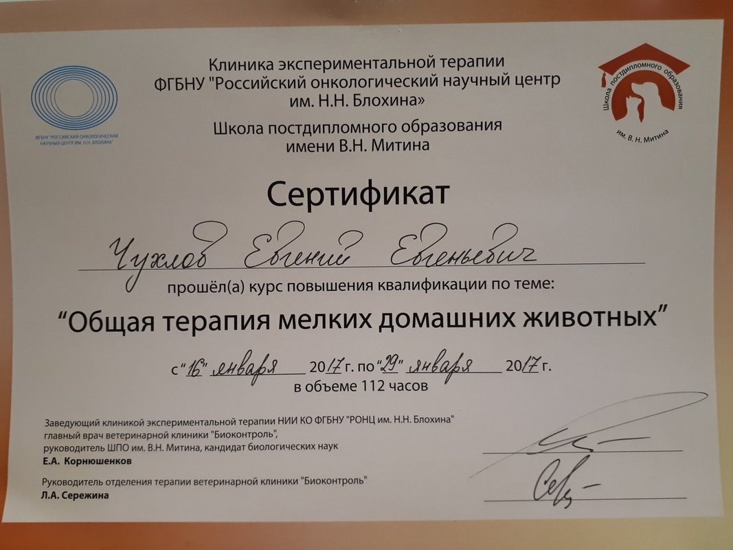 Документ или сертификат