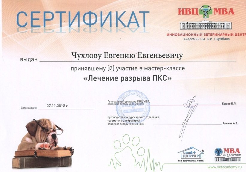 Документ или сертификат