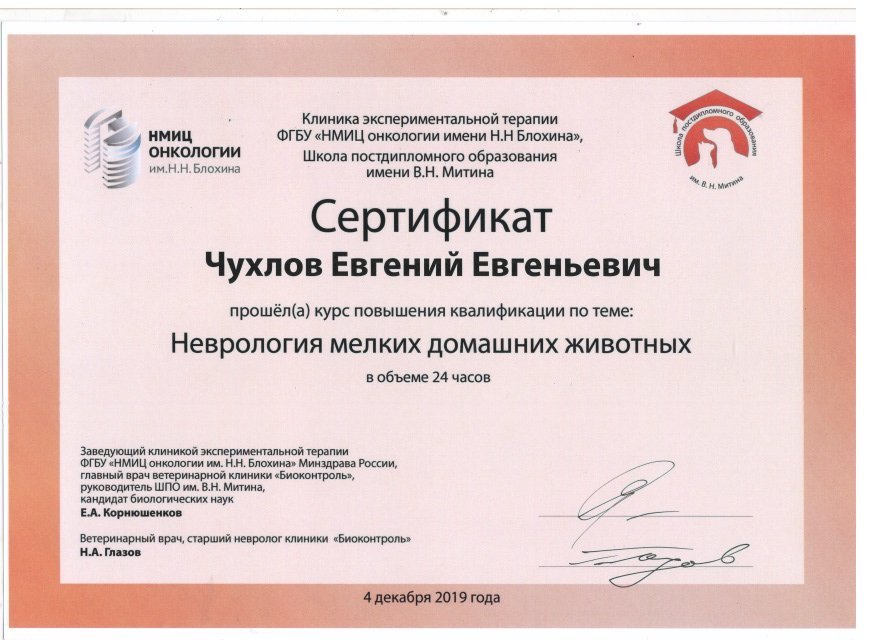 Документ или сертификат