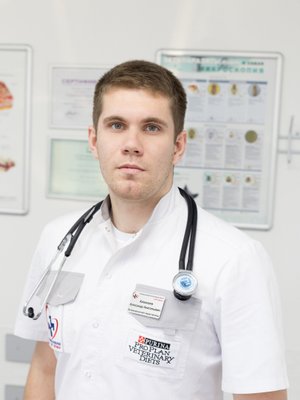 Фото врача Алексеев Александр Анатольевич