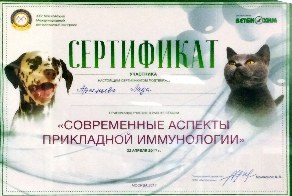 Документ или сертификат