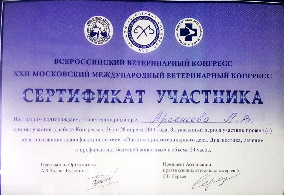 Документ или сертификат