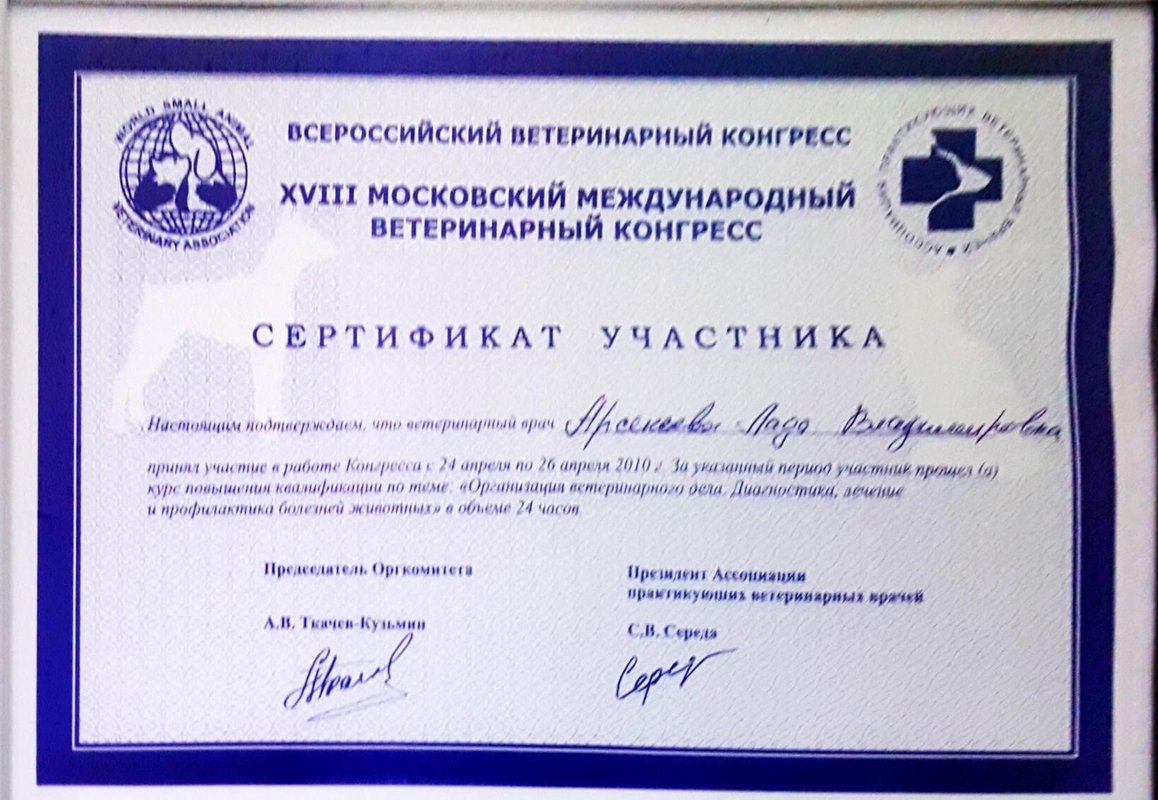 Документ или сертификат
