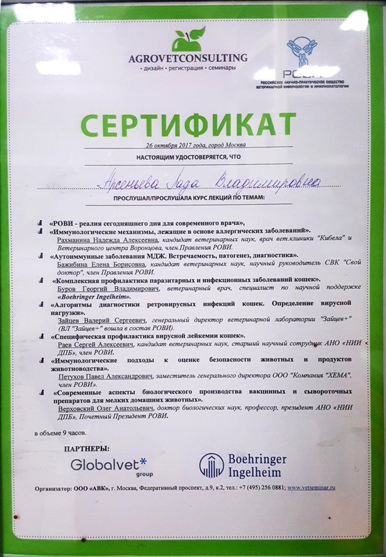 Документ или сертификат