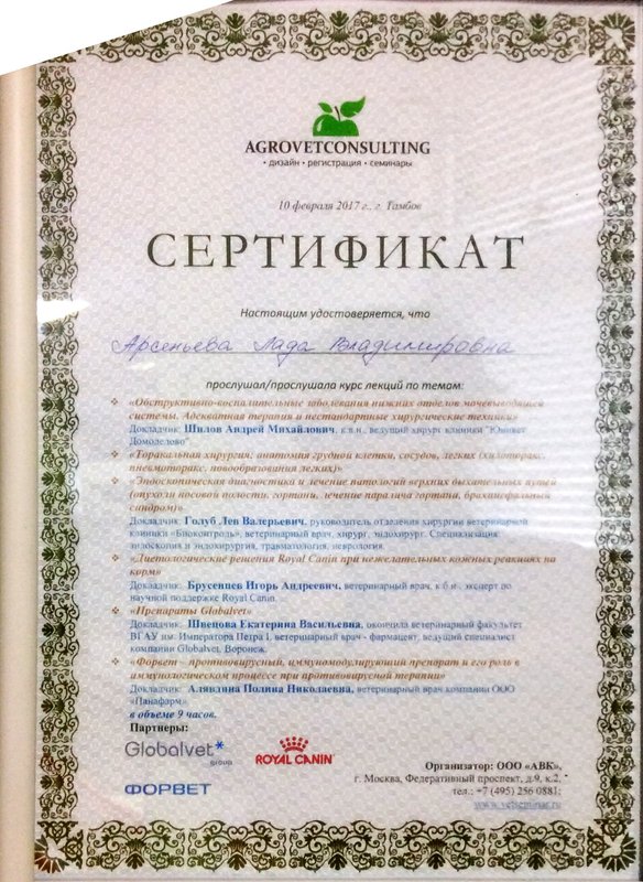 Документ или сертификат