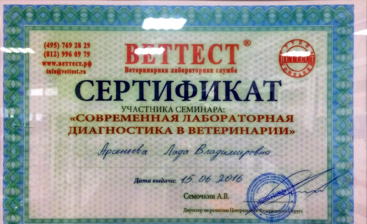 Документ или сертификат