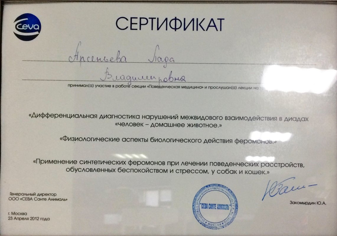 Документ или сертификат