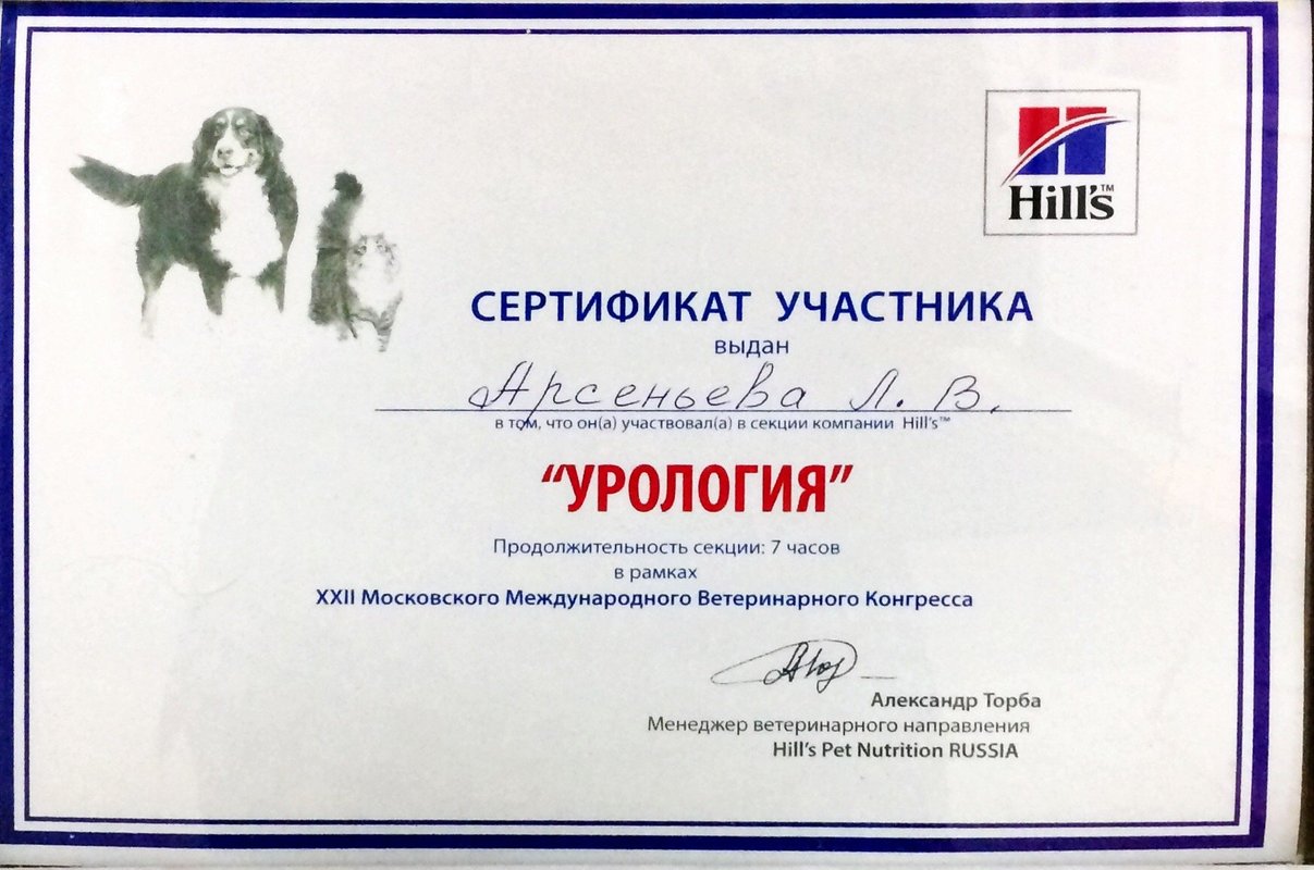 Документ или сертификат
