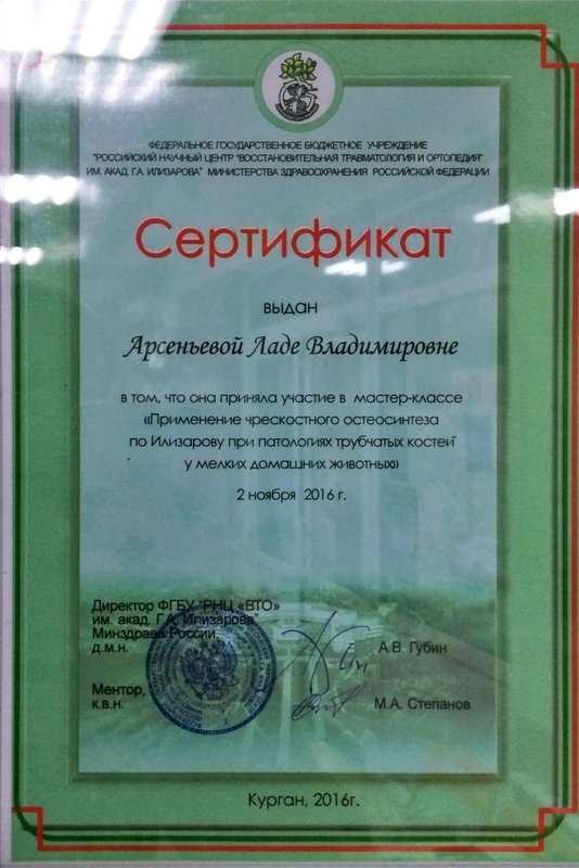 Документ или сертификат