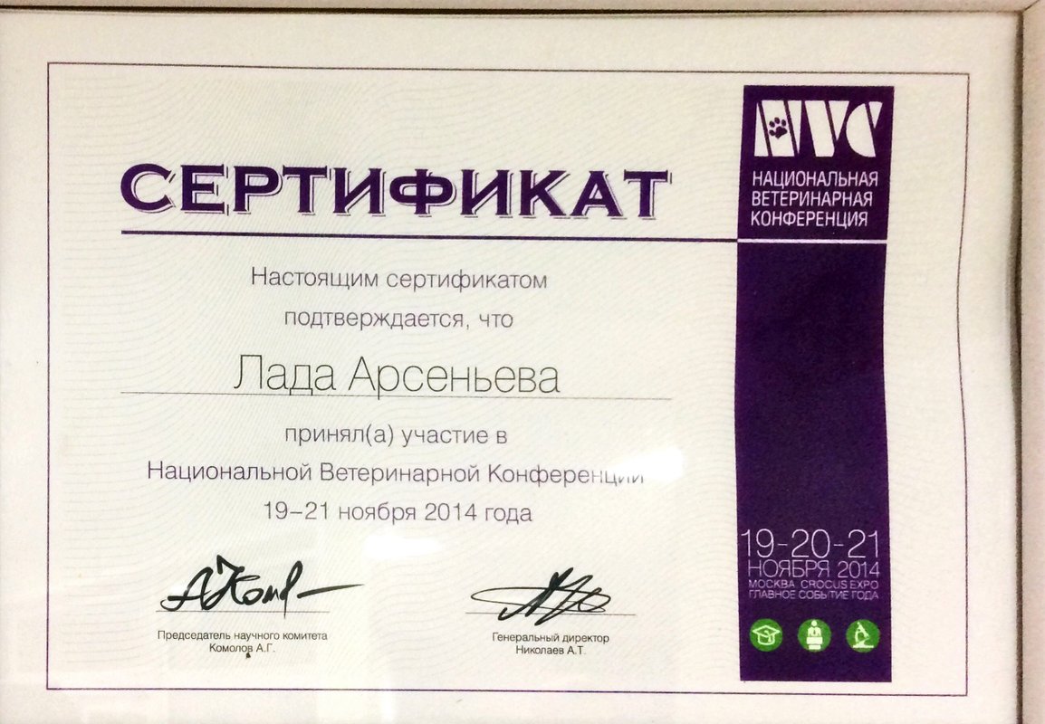 Документ или сертификат
