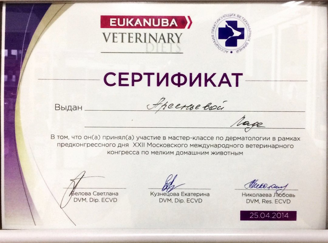 Документ или сертификат
