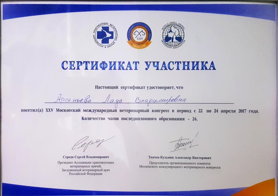 Документ или сертификат