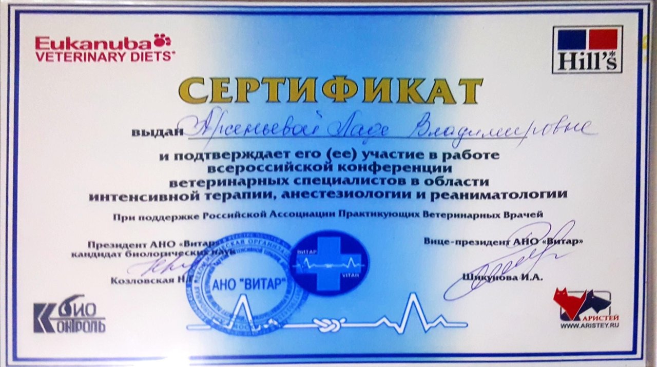 Документ или сертификат