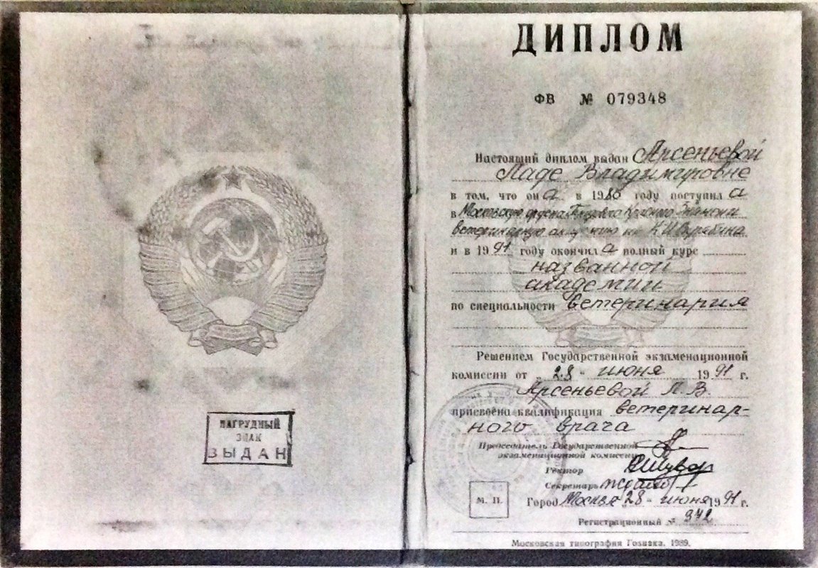 Документ или сертификат