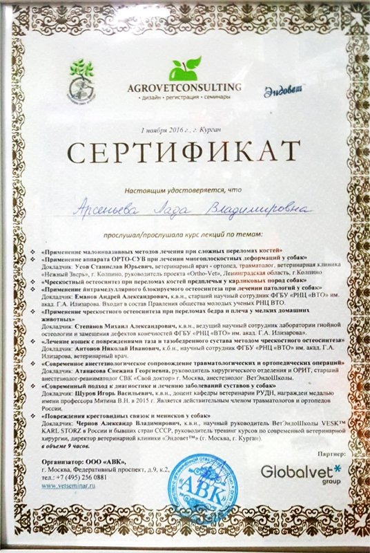 Документ или сертификат