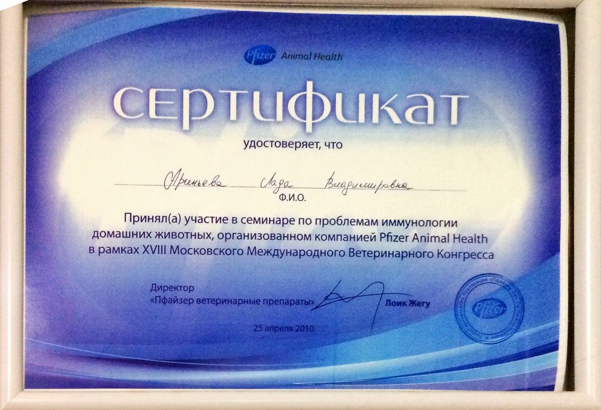 Документ или сертификат