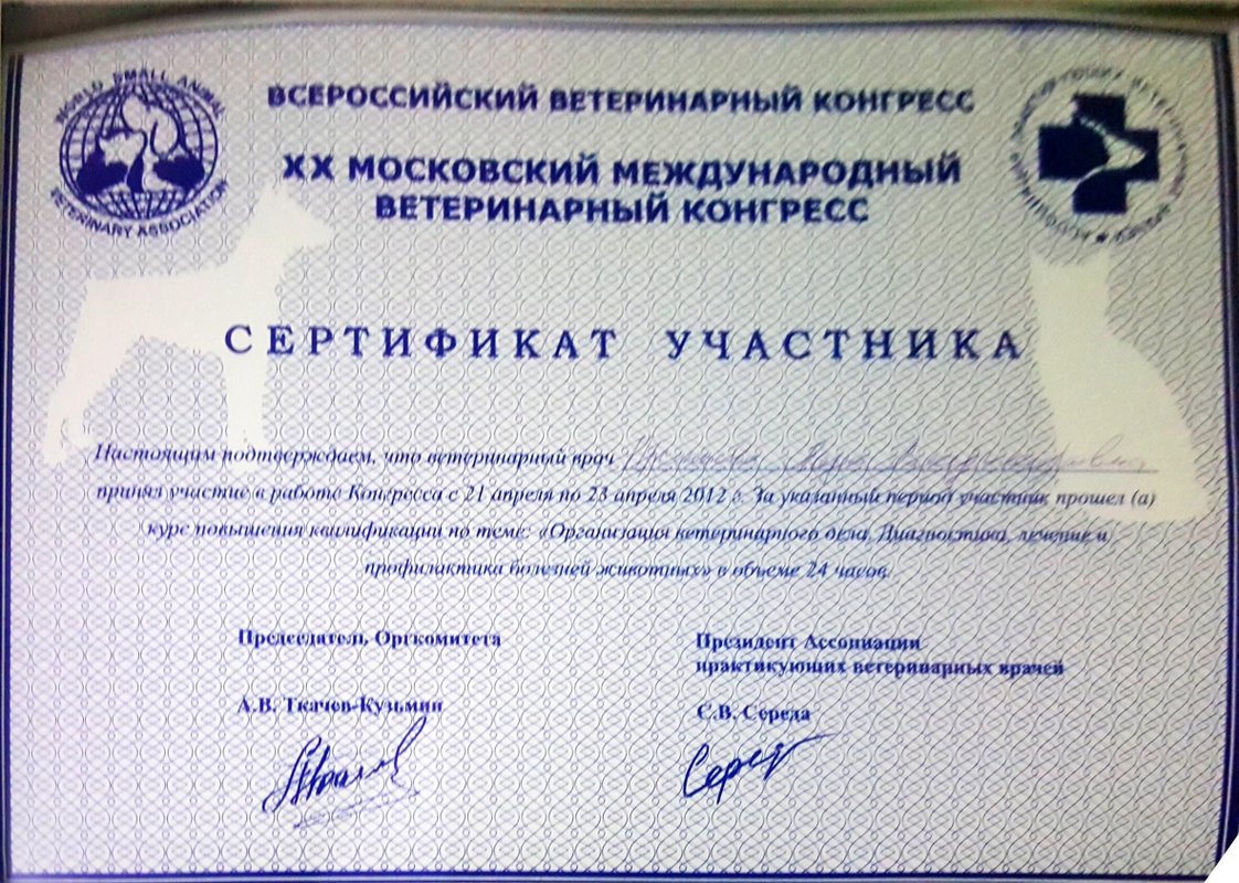 Документ или сертификат