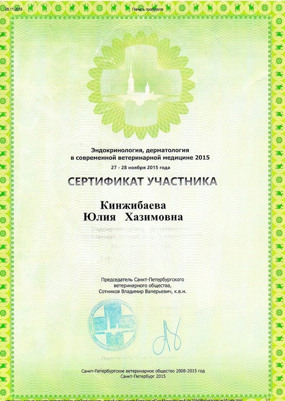 Документ или сертификат